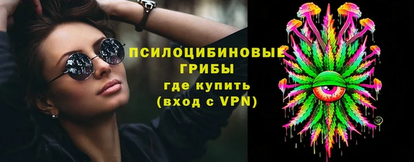 прущие крисы Новозыбков