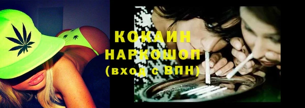 прущие крисы Новозыбков