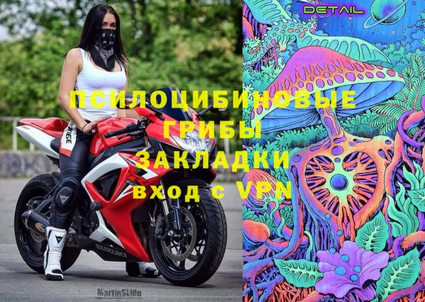 молекула духа Новокубанск