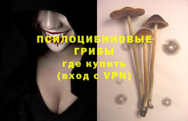 прущие крисы Новозыбков