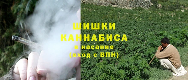 молекула духа Новокубанск