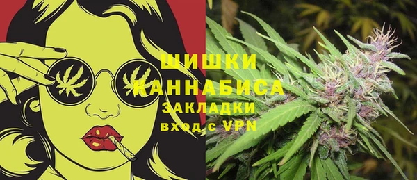 прущие крисы Новозыбков